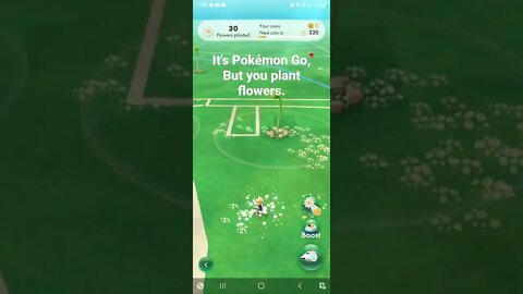 Pikman Bloom is Pokémon Go, but flowers