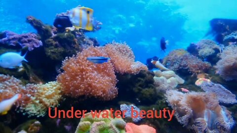 The Beauty of Ocean
