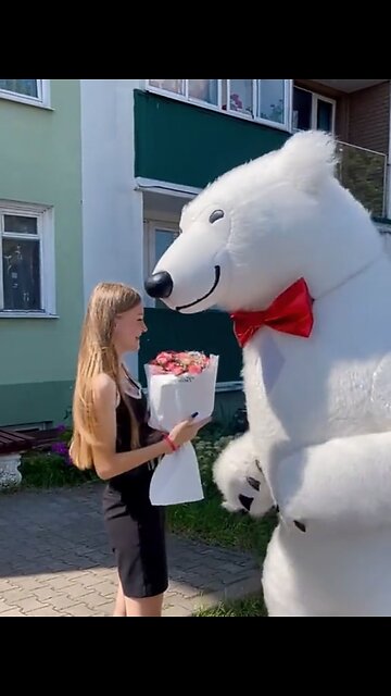 Cut white teddy bear