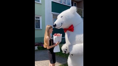 Cut white teddy bear
