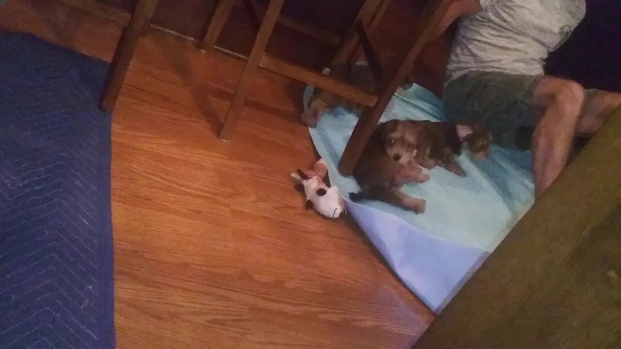 Last Night Together For The Seven