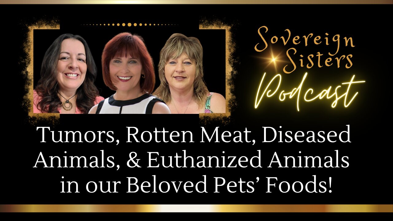 Tumors, Rotten Meat, Diseased Animals, & Euthanized Animals in our Beloved Pets' Foods!