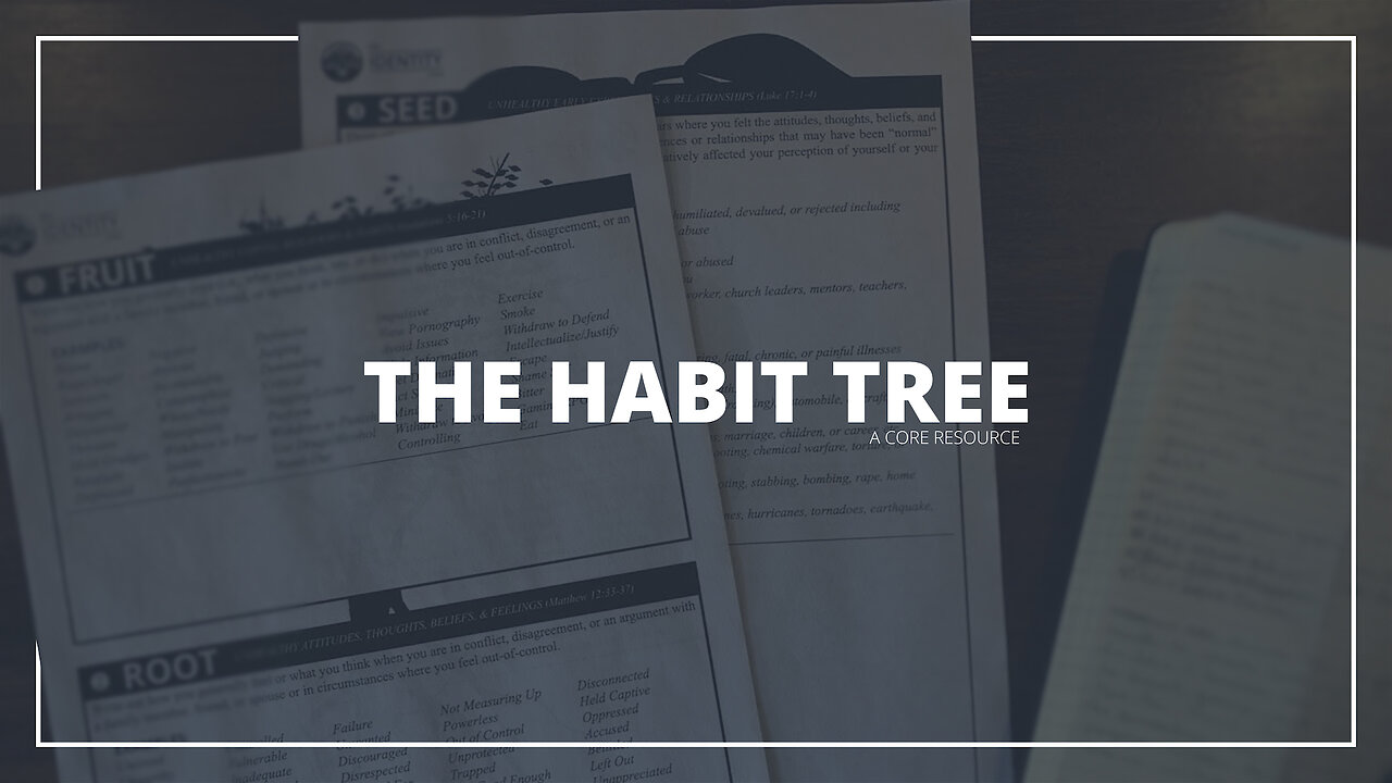 The Habit Tree - Step 2: The Root