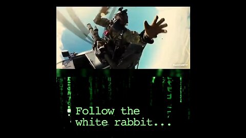 FOLLOW THE WHITE RABBIT Click clack 🐸 #DDK #QNN #SaveOurChildren