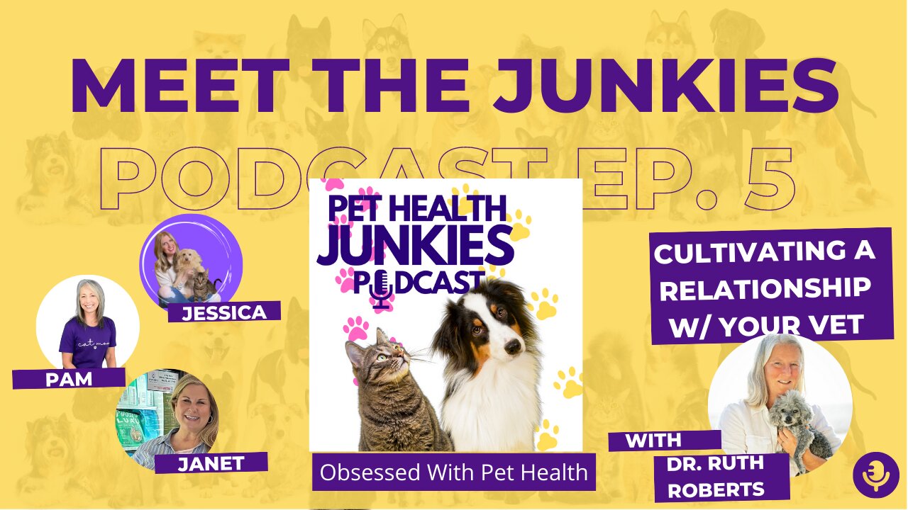 PET HEALTH JUNKIES: Cultivating A Relationship With Your Vet ft Dr Ruth Roberts