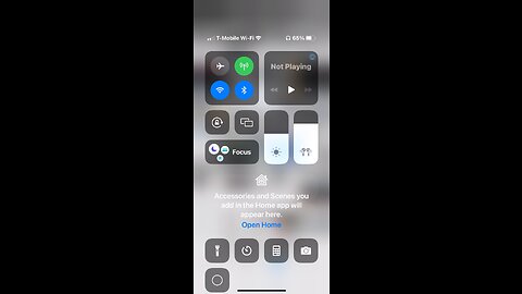 🎼🦁👀👀❤️👀👀🦁🎼