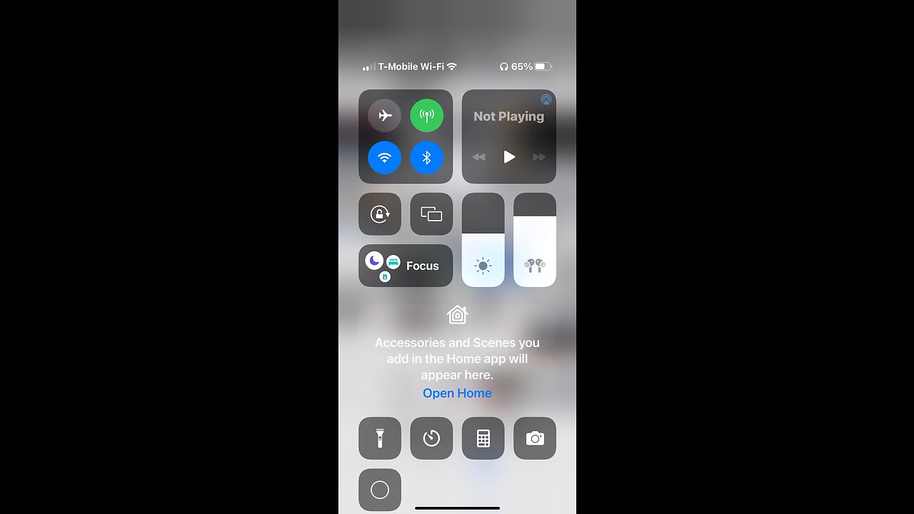 🎼🦁👀👀❤️👀👀🦁🎼