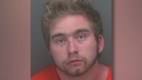 Deputies: Palm Harbor man stabs sleeping brother