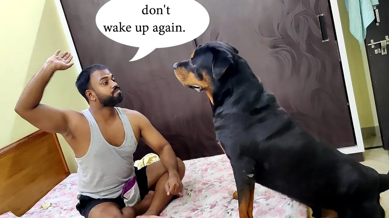 Nut reaction, When he saw that I was sleeping.|| Mr.Nut & Me