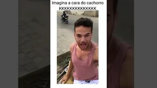 IMAGINA A CARA DO CACHORRO , SILENCIO CACHORRO HOMOFOBICO ( MEME ) ( VIRAL ) #shorts