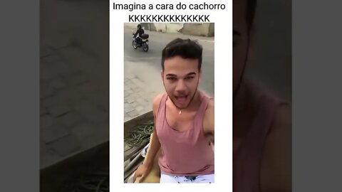 IMAGINA A CARA DO CACHORRO , SILENCIO CACHORRO HOMOFOBICO ( MEME ) ( VIRAL ) #shorts