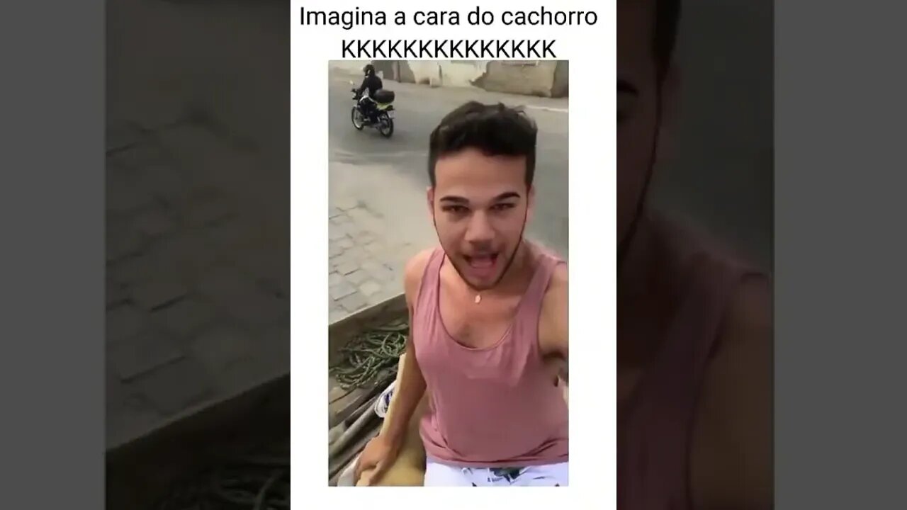 IMAGINA A CARA DO CACHORRO , SILENCIO CACHORRO HOMOFOBICO ( MEME ) ( VIRAL ) #shorts