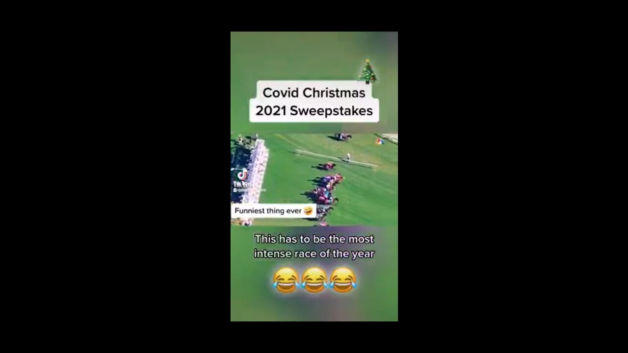 🤣🤣 COVID CHRISTMAS Horse Race. Hillarious