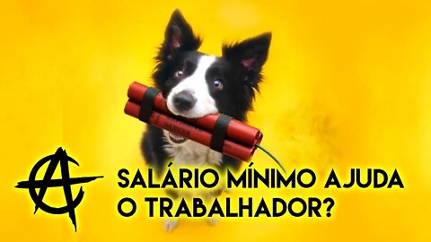 Salário mínimo ajuda o trabalhador? | ANCAPSU Classic