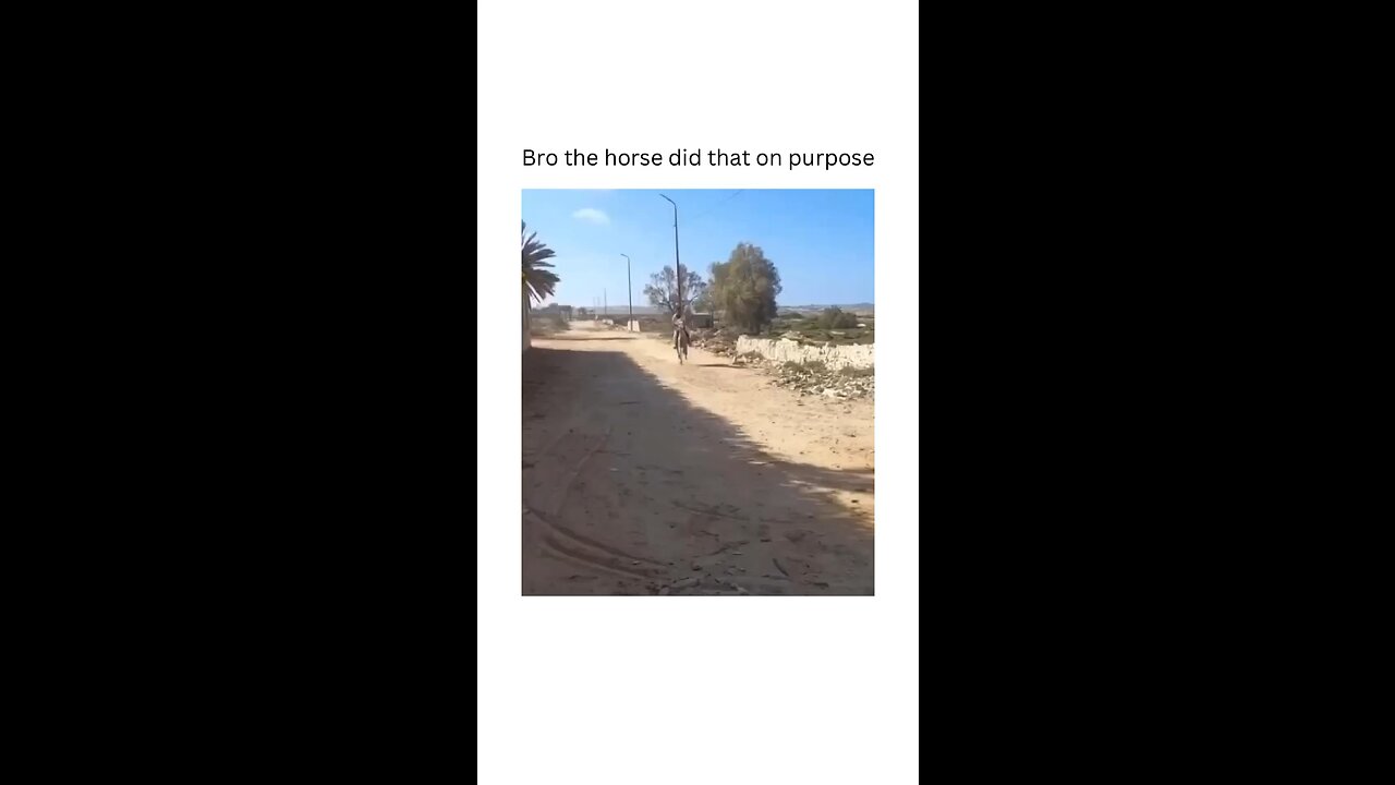 😂😂😂😂