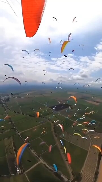 Game || Gx rohit || #trending ￼