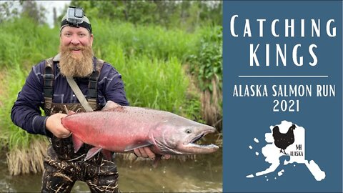 Catching King Salmon Alaska 2021| Fishing the first Kings of the season and a few Rainbow Trout!