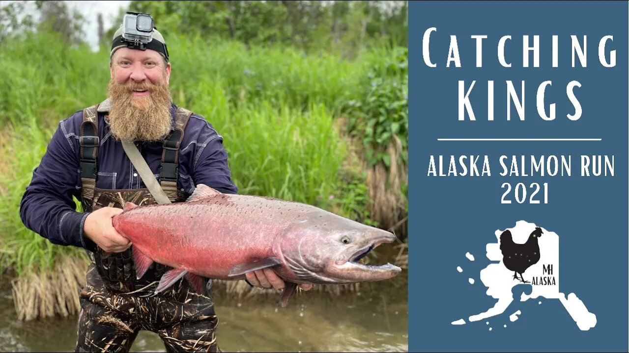 Catching King Salmon Alaska 2021| Fishing the first Kings of the season and a few Rainbow Trout!
