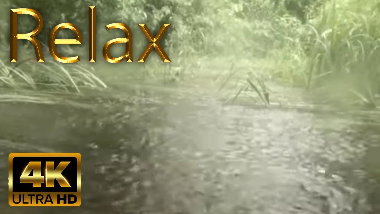 Relaxing Sounds for Sleep - Summer Rain & Relaxing Stream