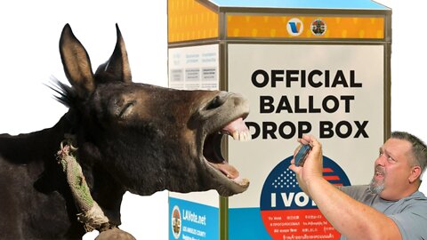 LIVE: 2000 Horse-Like Animal Update, COS Update and more