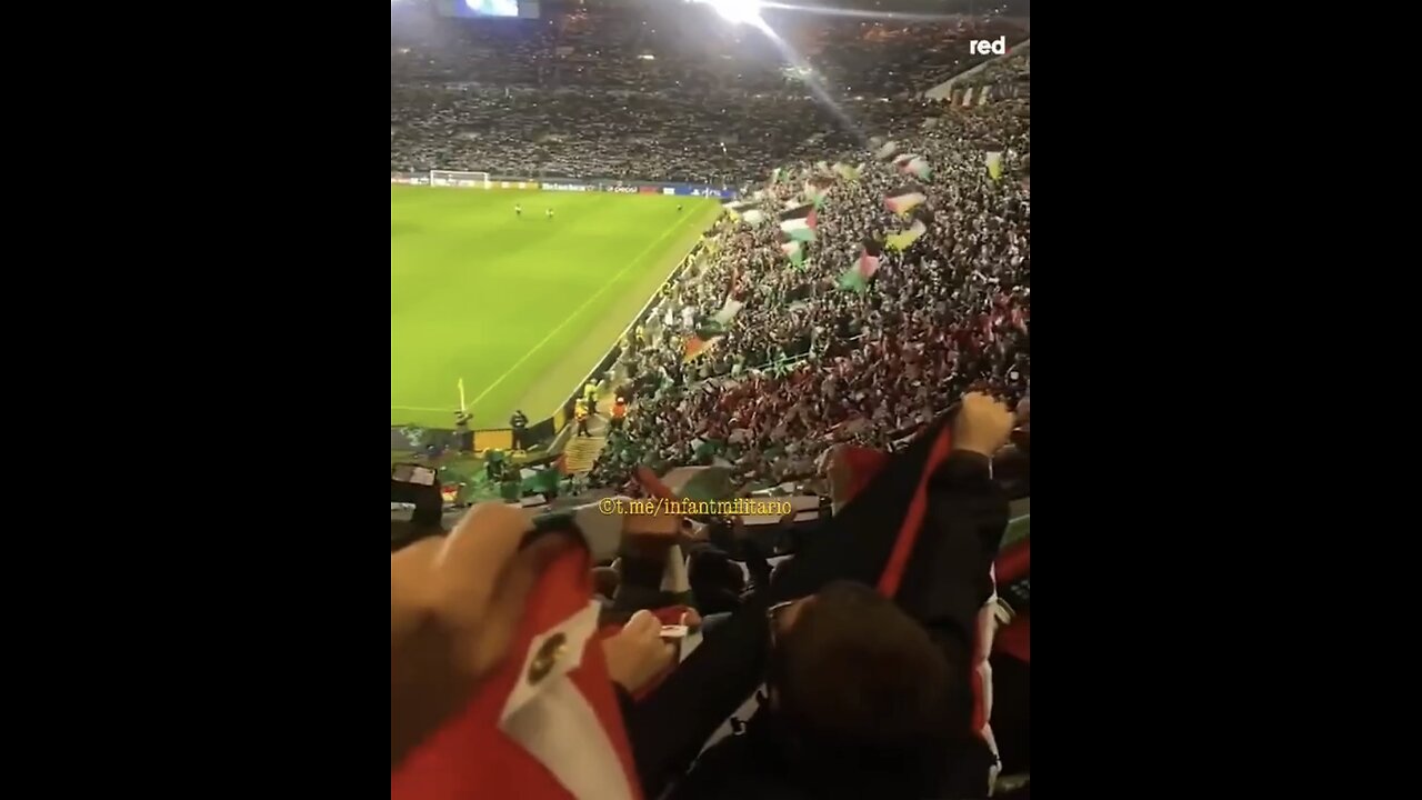 Ireland 🇮🇪 soccer ⚽️ fans support Palestine 🇵🇸