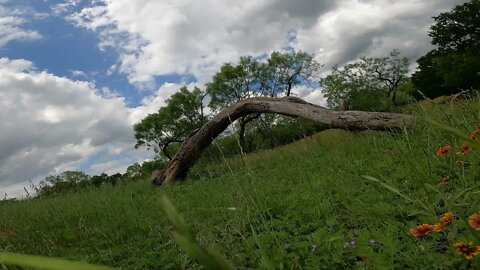 051521, Cooper Spring Nature Park