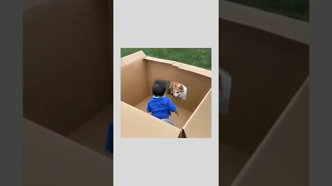 Corgi and baby!😂😍😍😍😍