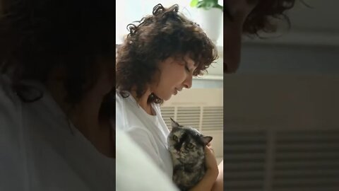 KUCING LUCU #PART 62