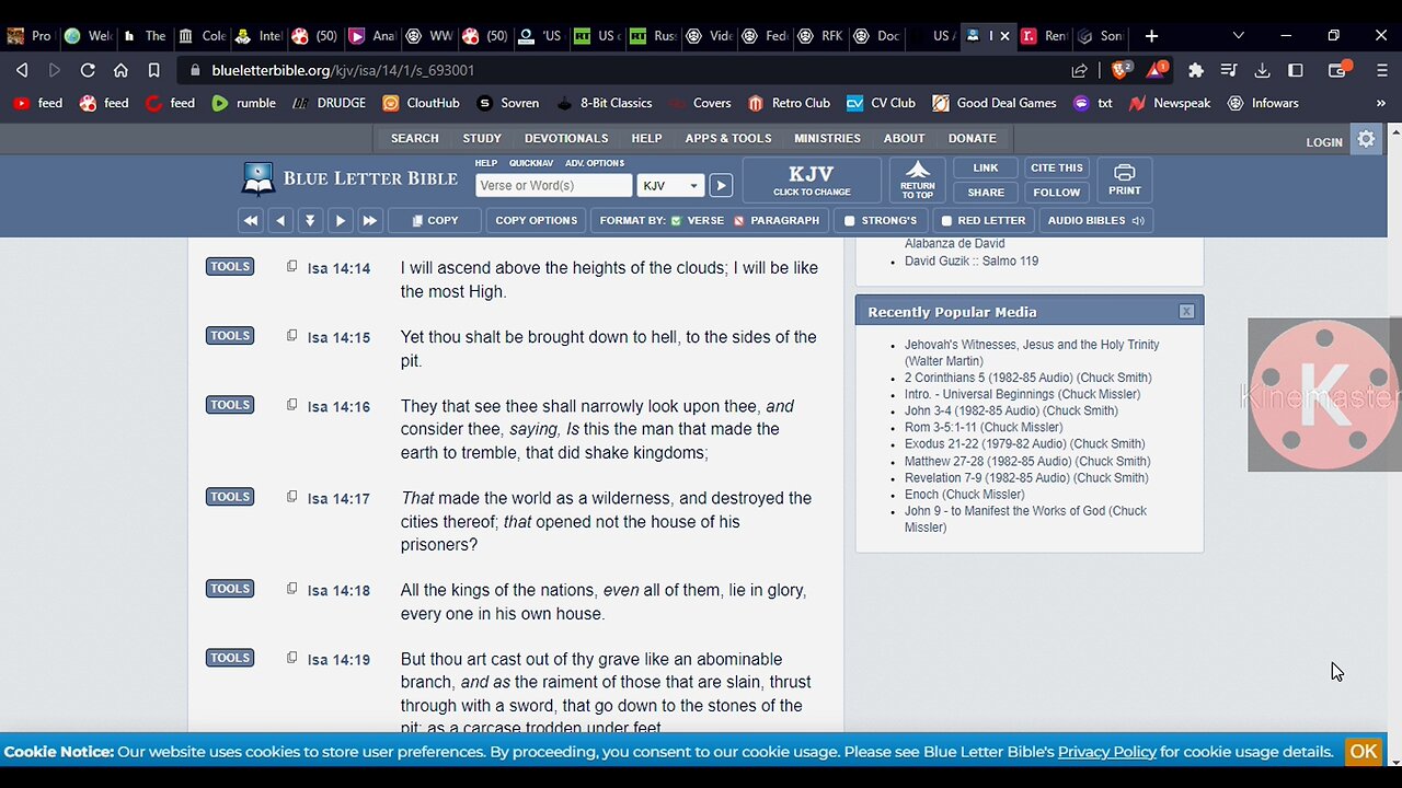 The seed of evildoers shall never be renowned