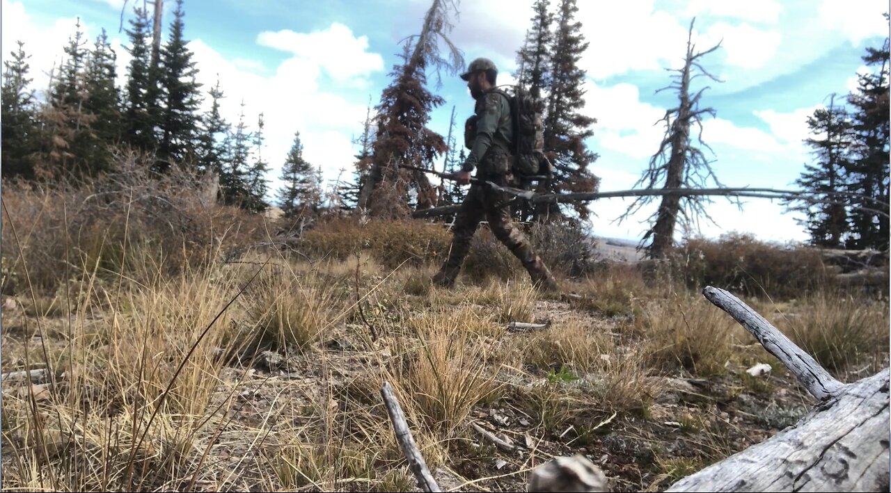 Extended Edition of 2021 Solo Muzzy Deer hunt : Day 7 of 10