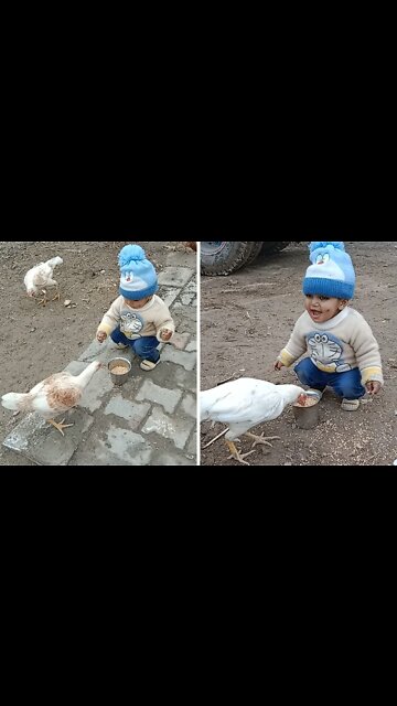 Toddler feeding food their hens and saying Sweet word to them