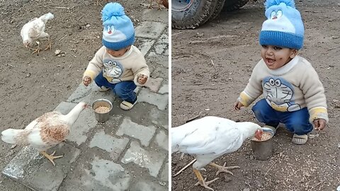 Toddler feeding food their hens and saying Sweet word to them