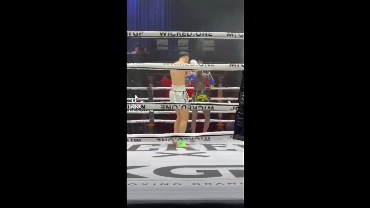 Muay Thai KO From Broken Shin