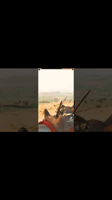 Bannerlord mods that made my TikTok account blow up