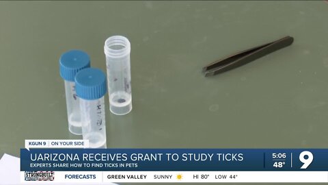 Identifying ticks in pets for local research