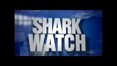 Episode-0021: SHARK WATCH: Commissioner Court Scrambles For Election Machine Gamble: