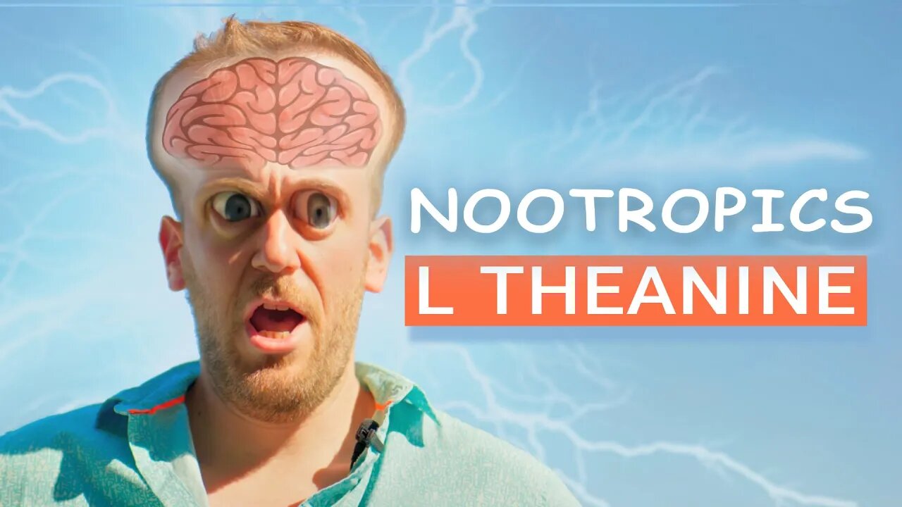 l theanine and Nootropics