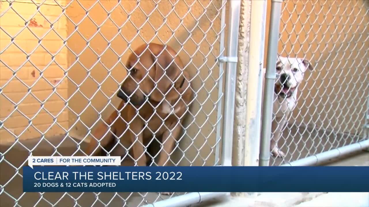 Clear the Shelters 2022