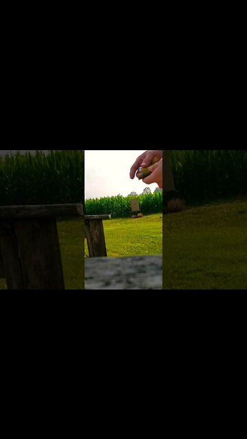 Whatever Was Standing There Would Have Definitely Been Hit💥🇺🇲👍20ga #4 Buckshot Reloads