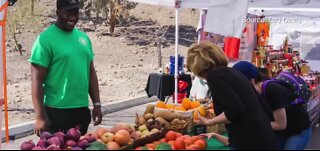 Farmers market at Cornerstone Park promotes wellness