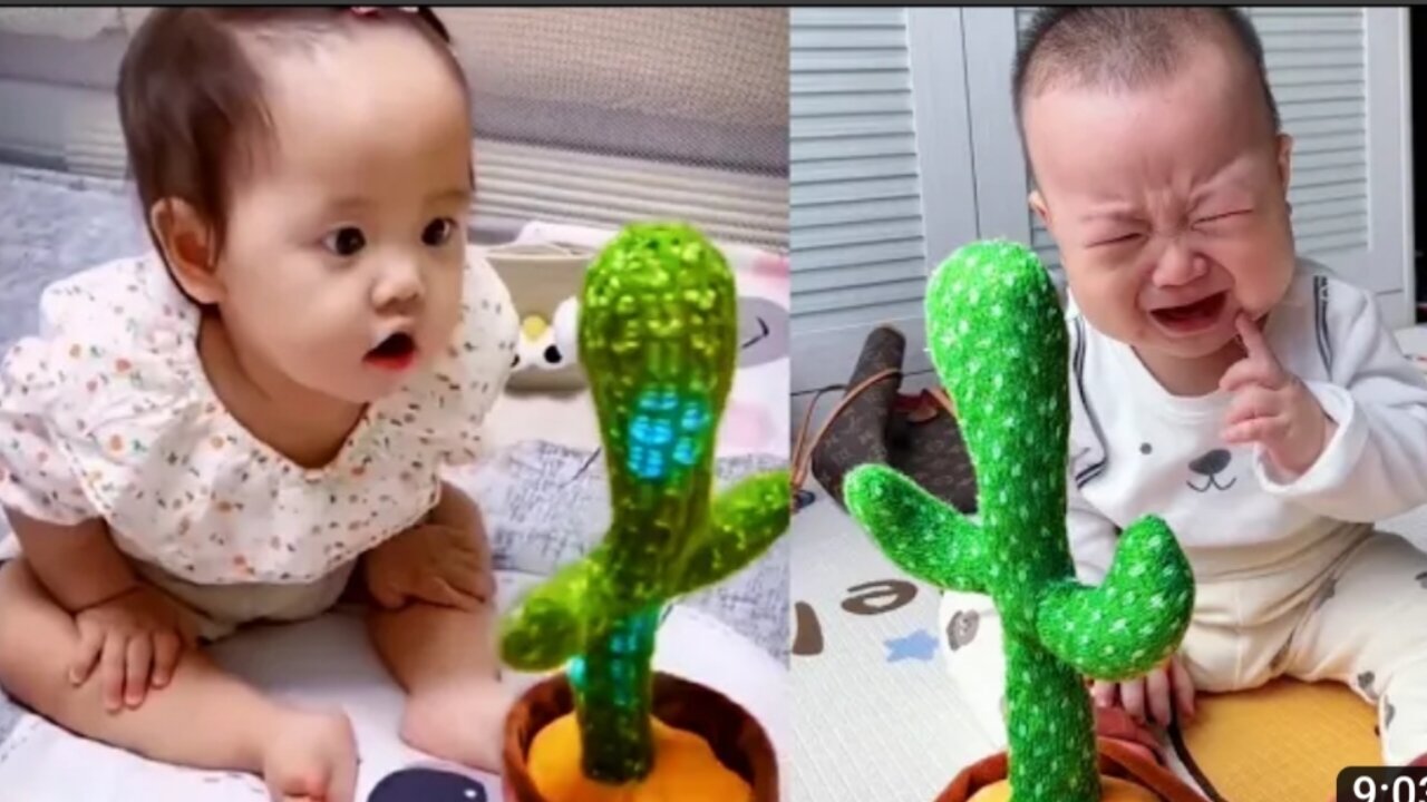 Babies play dancing cactus toy. Cutest baby funniest moments.