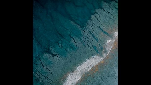 分享今日经文。愿主与我们同在。 阿门。