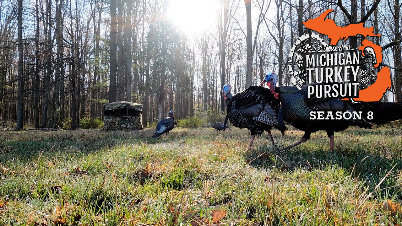 First Turkey And Opening Double - MTP S8.E2