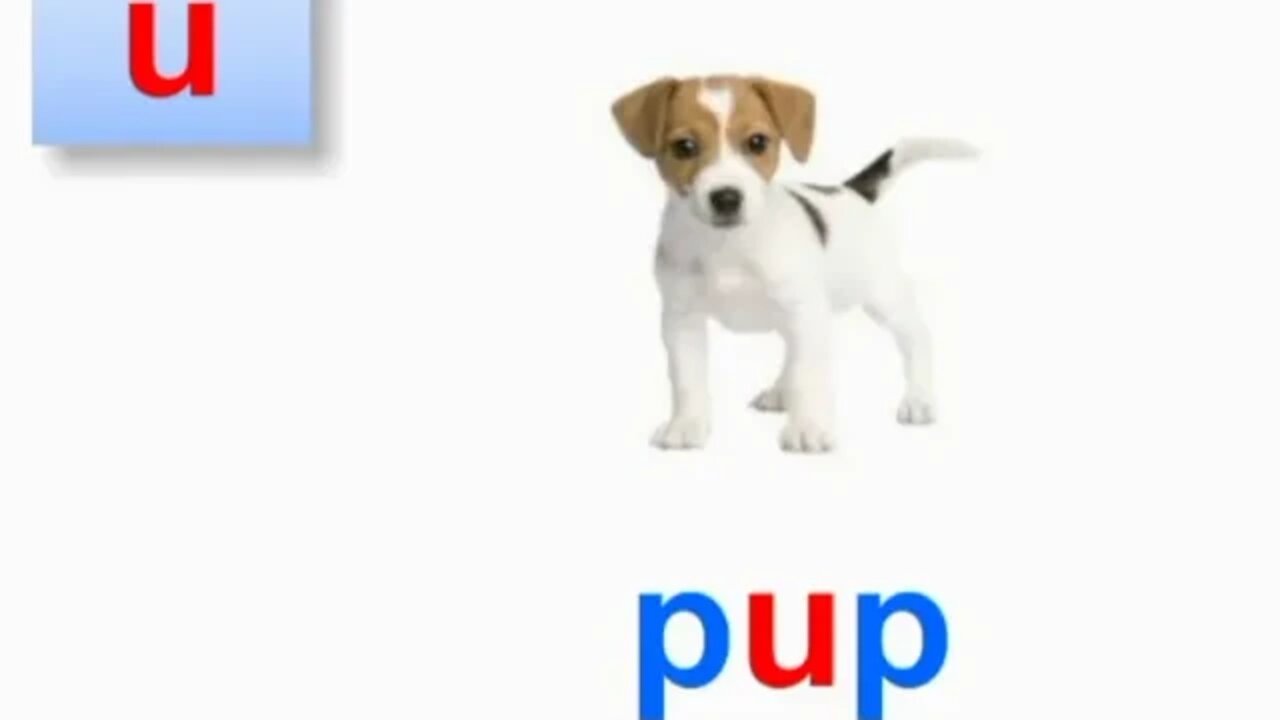 Nursery Honey Bee Book Reading Page No 16