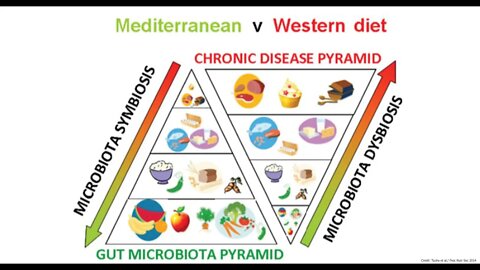 건강한 장이 사람을 살린다, 장면역, 프로바이오틱스, 장미생물총이 접근가능한 탄수화물, MAC, accessible carbohydrate, 유산균, 자가면역질환, 궤양성대장염