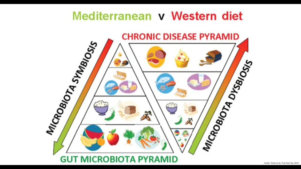 건강한 장이 사람을 살린다, 장면역, 프로바이오틱스, 장미생물총이 접근가능한 탄수화물, MAC, accessible carbohydrate, 유산균, 자가면역질환, 궤양성대장염