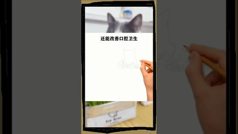 你知道为什么猫吃草#猫#喵星#猫#可爱的宠物#科普知