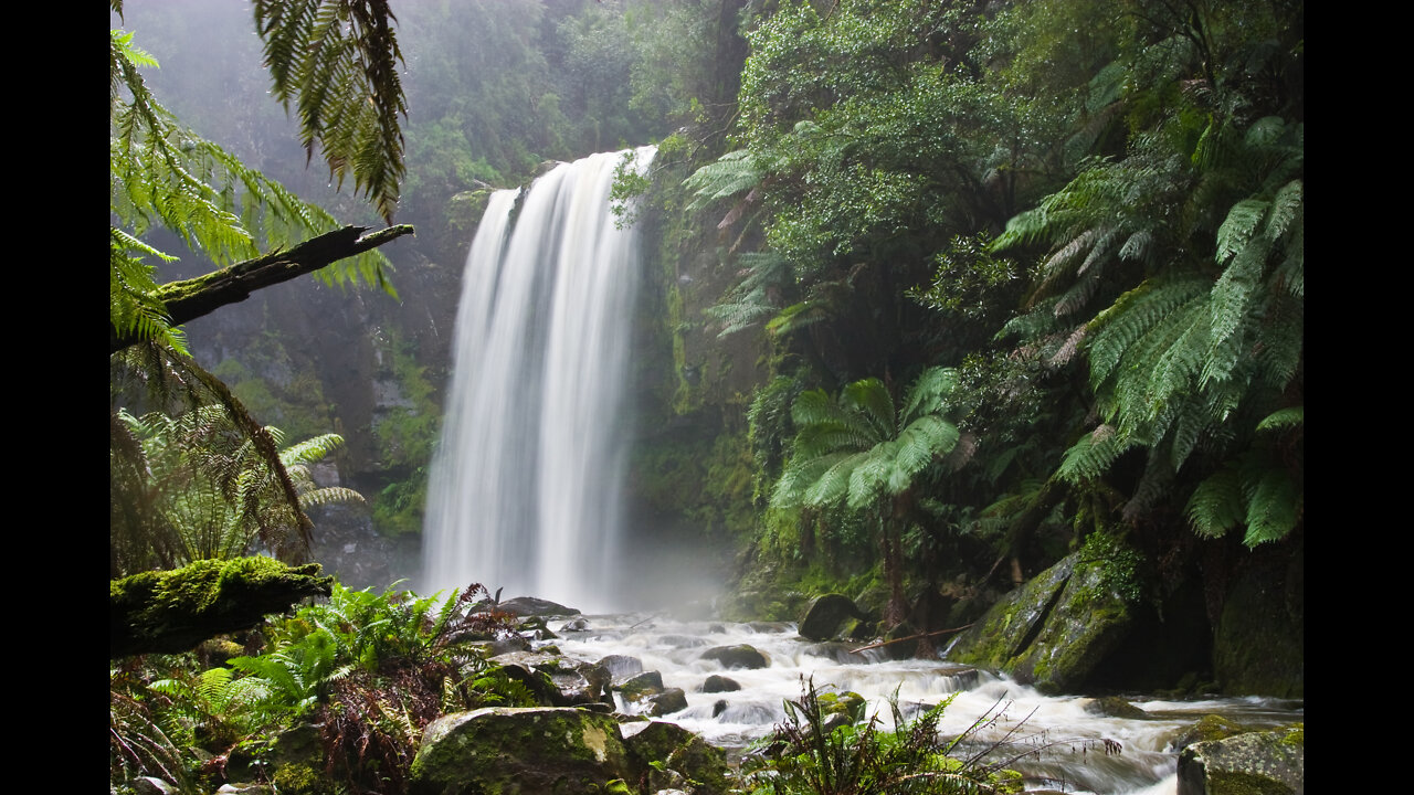 beautiful nature video with nice music