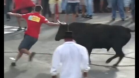 Funny videos 2023 - Stupid people doing stupid things - Bull Fighting - Bull Fightting