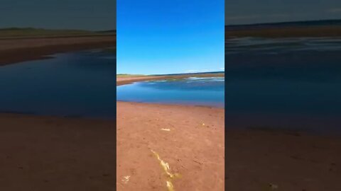 A huge beach in Canada